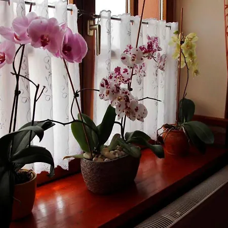 Hatar Csarda Panzio 3*